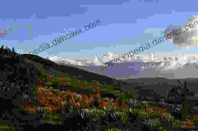 A Breathtaking View Of The Andes Mountains In Colombia, With Snow Capped Peaks And Lush Valleys Travels Through The Interior Provinces Of Colombia Volume 1