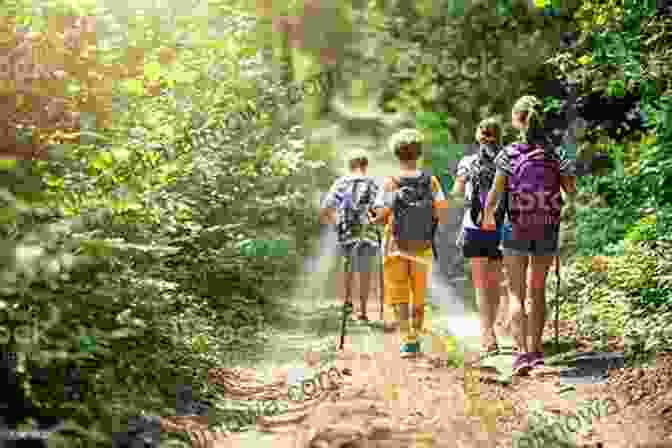 A Group Of People Hiking And Biking In A Lush Forest With A River And Distant Mountains In The Background Exploring Everglades National Park And The Surrounding Area: A Guide To Hiking Biking Paddling And Viewing Wildlife In The Region