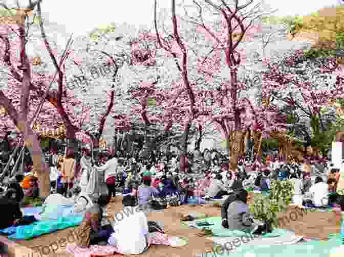 A Photograph Of A Group Of People Gathered Beneath Cherry Blossom Trees, Enjoying The Hanami Tradition. Fallen Flower G Wayne Miller