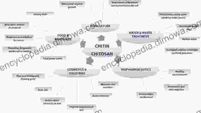 Applications Of Chitin And Chitosan In Various Industries Handbook Of Chitin And Chitosan: Volume 1: Preparation And Properties