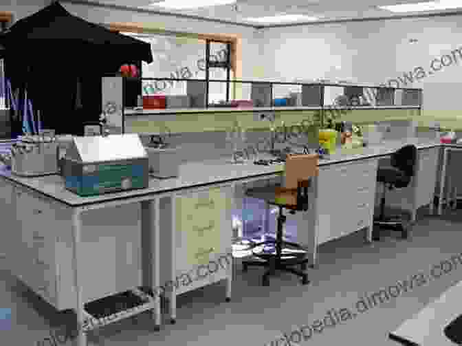 Bench Chemistry Laboratory Setup Carbon Nanotubes: From Bench Chemistry To Promising Biomedical Applications