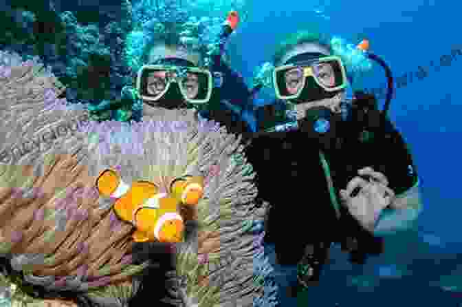 Cuba Diving In The Coral Reef