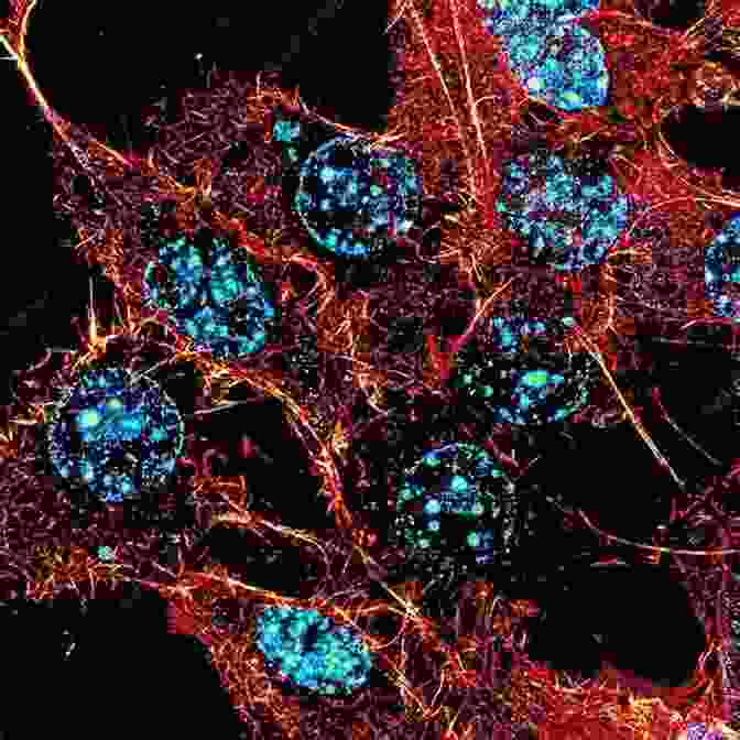 Fluorescence Microscopy Image Of Cells Carbon Nanotubes: From Bench Chemistry To Promising Biomedical Applications