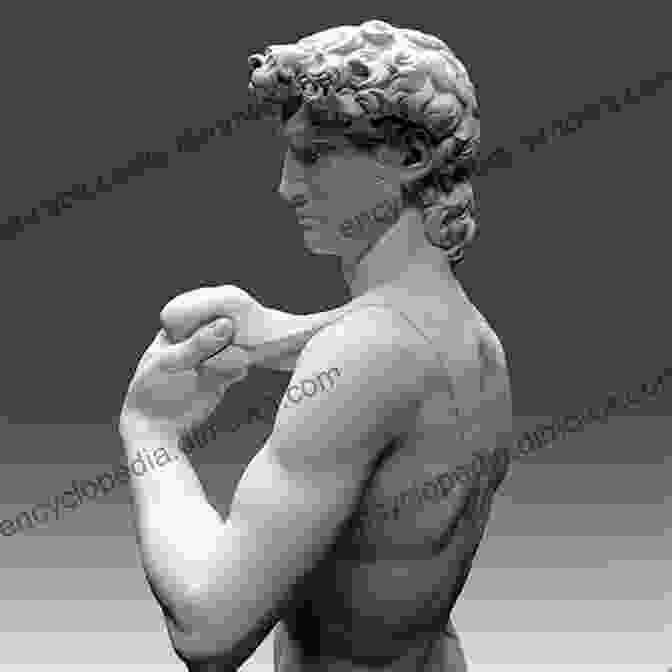 Michelangelo's David, A Testament To His Understanding Of Human Anatomy And Classical Geometry There S Math In My Art (Starting With STEAM)