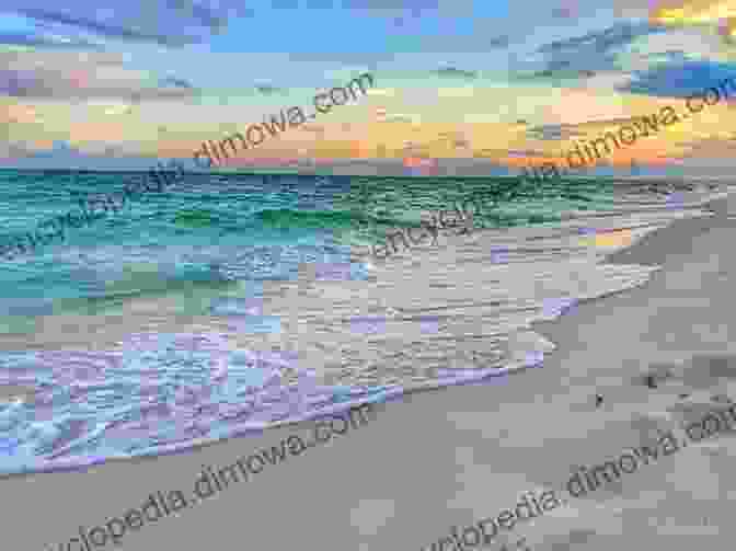 Panoramic Photo Of Towering Sand Dunes In The Gulf Islands National Seashore, Showcasing The Vast Coastal Landscape Gainesville Jacksonville St Augustine Daytona: An Adventure Guide To Northern Florida