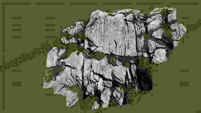 Rillenkarren On A Gently Sloping Limestone Surface Karst Environments: Karren Formation In High Mountains