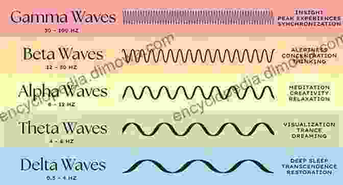 Spectrum Of Brain Rhythms, From Alpha To Theta, As Measured By Wavelet Analysis Wavelets In Neuroscience (Springer In Synergetics)