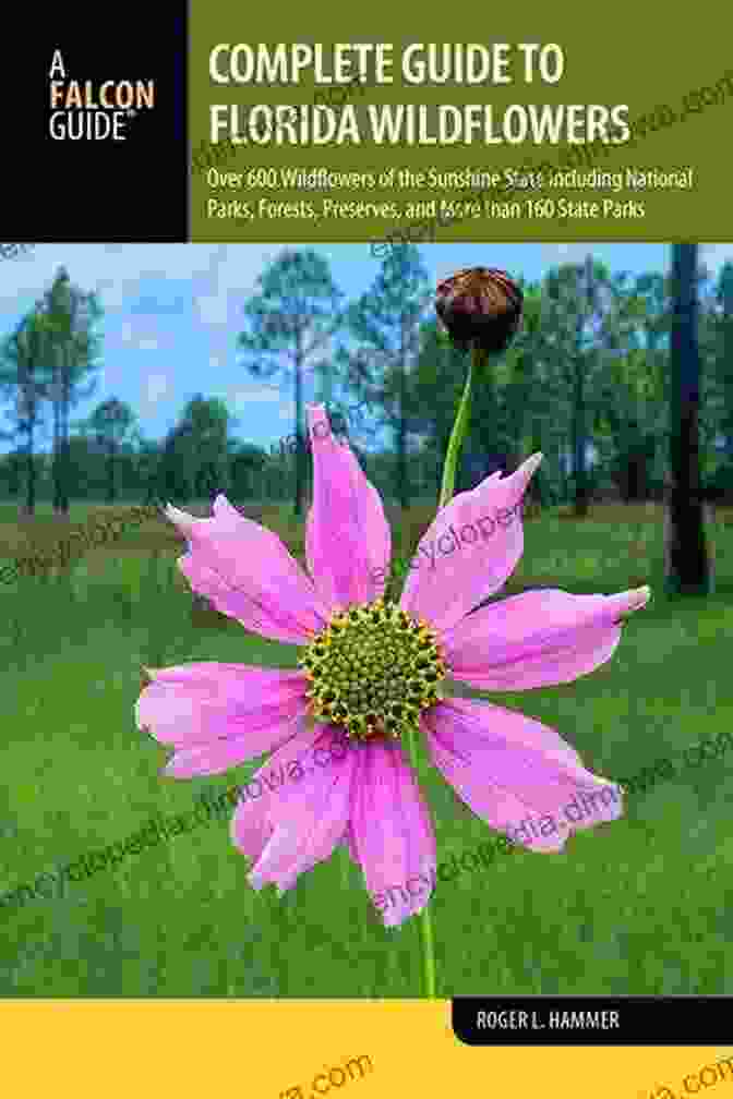 The Complete Guide To Florida Wildflowers Book Cover Complete Guide To Florida Wildflowers: Over 600 Wildflowers Of The Sunshine State Including National Parks Forests Preserves And More Than 160 State (Wildflowers In The National Parks Series)