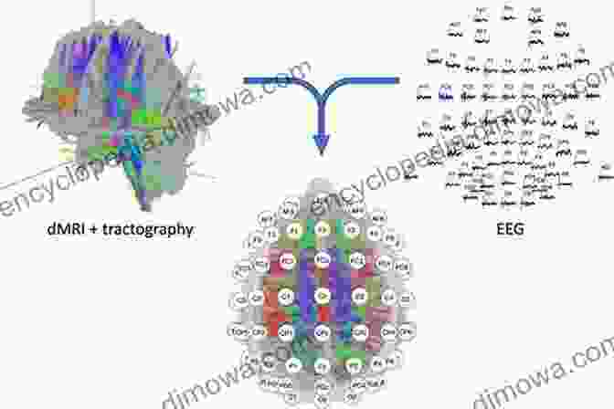 Wavelet Analysis Revealing Neural Connectivity Patterns In The Brain Wavelets In Neuroscience (Springer In Synergetics)