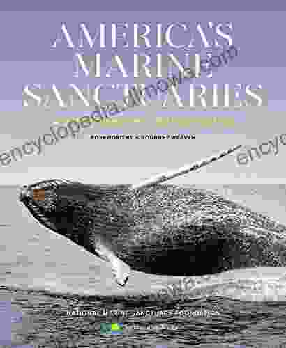 America S Marine Sanctuaries: A Photographic Exploration