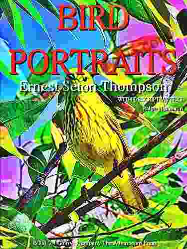 Bird Portraits (Illustrations) Ernest Thompson Seton