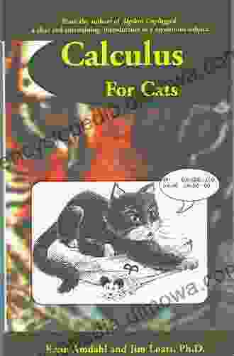 Calculus For Cats Kenn Amdahl