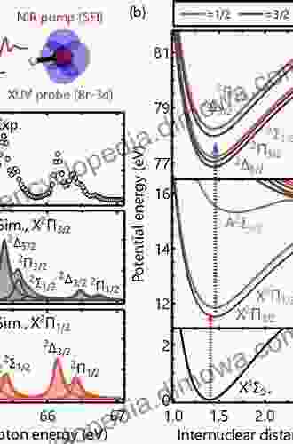 Coherent Vibrational Dynamics (Practical Spectroscopy 36)