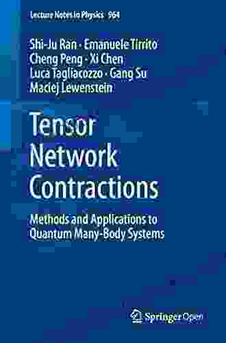 Tensor Network Contractions: Methods And Applications To Quantum Many Body Systems (Lecture Notes In Physics 964)