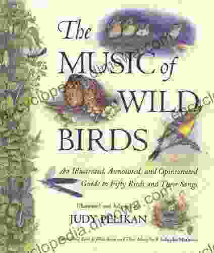 The Music Of Wild Birds: An Illustrated Annotated And Opinionated Guide To Fifty Birds And Their Songs