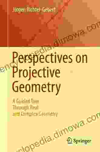 Perspectives On Projective Geometry: A Guided Tour Through Real And Complex Geometry