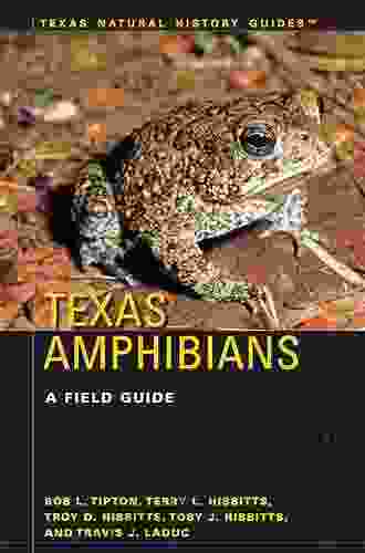 Texas Wildflowers: A Field Guide (Texas Natural History Guides)