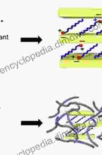 Introduction to Polymer Clay Nanocomposites (Political Violence)