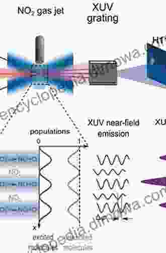 Introduction To Ultrafast Phenomena: From Femtosecond Magnetism To High Harmonic Generation