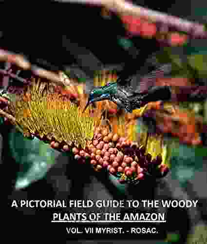 A Pictorial Field Guide To The Woody Plants Of The Amazon VOL VII: MYRISTICACEAE ROSACEAE