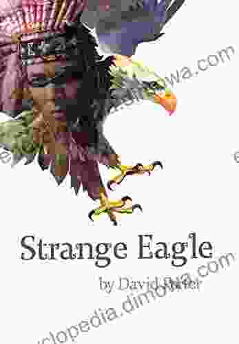 Strange Eagle: The Quest David Porter