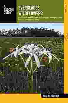 Everglades Wildflowers: A Field Guide To Wildflowers Of The Historic Everglades Including Big Cypress Corkscrew And Fakahatchee Swamps (Wildflowers In The National Parks Series)