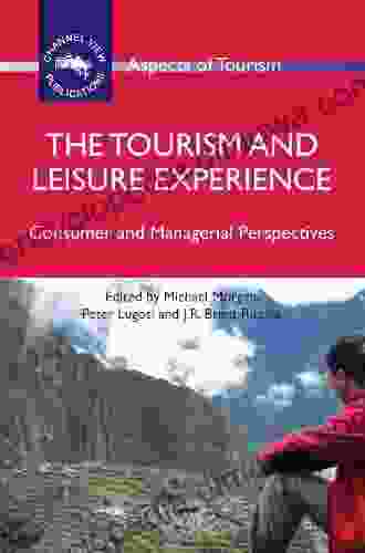 The Tourism and Leisure Experience: Consumer and Managerial Perspectives (Aspects of Tourism 44)