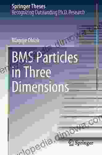 BMS Particles In Three Dimensions (Springer Theses)