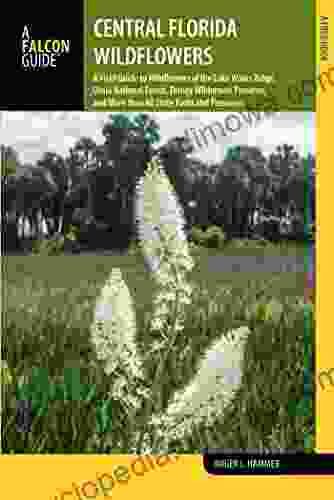 Central Florida Wildflowers: A Field Guide to Wildflowers of the Lake Wales Ridge Ocala National Forest Disney Wilderness Preserve and More than 60 (Wildflowers in the National Parks Series)