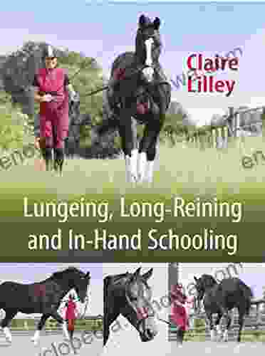 Lungeing Long Reining And In Hand Schooling